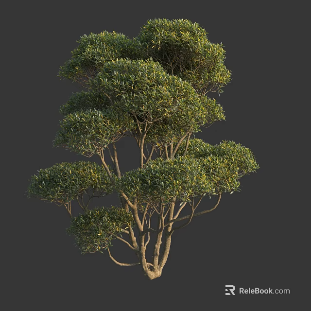 Lush Green Shrub With Multiple Branches And Vibrant Foliage In Natural Growth 3d model 