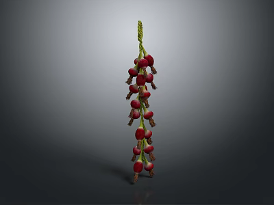Fresh Ripe Red Berries on Green Stem Strand Against Gray Background 3d model