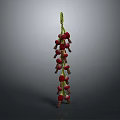 Fresh Ripe Red Berries on Green Stem Strand Against Gray Background