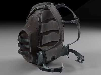 Durable Outdoor Backpack With Multiple Straps And Padded Back Panel Design 3d model