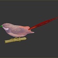 bird bird bird bird animal game animal cartoon animal 3d model