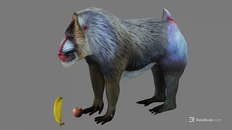 Mandrill With Colorful Face And Fur Standing Near Banana And Apple 3d model 