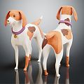 Modern Dog Pet Dog 3d model