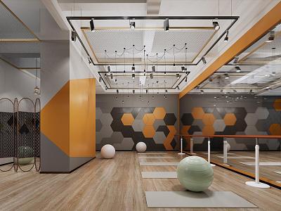 Modern Gym Yoga Room model