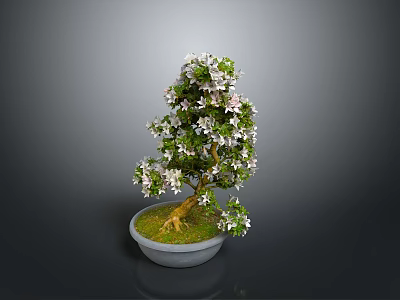 Bonsai Plant With White Flowers Green Leaves Exposed Roots In Light Gray Pot 3d model