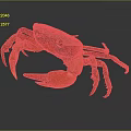 Red Crab With Shiny Shell And Extended Claws On Dark Background