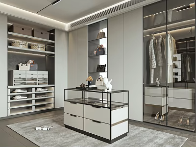 Modern Walk in Closet With Storage Cabinets Display Case And Shoes 3d model