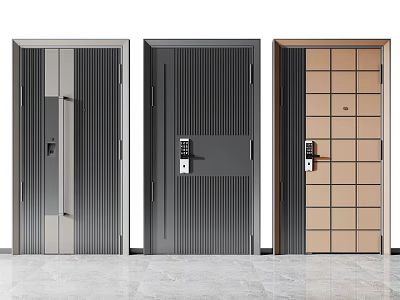 Modern Security Doors with Three Styles Gray Black Brown Grid Striped Panels 3d model