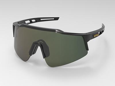Modern Riding Glasses 3d model