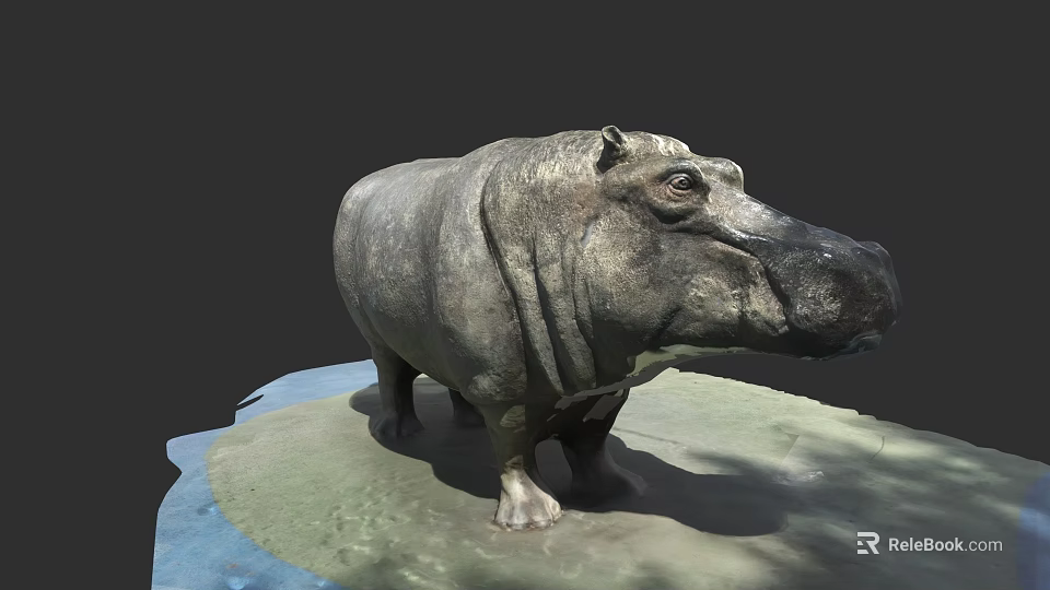 Hippopotamus Aquatic Animal Sculpture On Platform With Water And Land Elements 3d model 