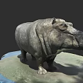 Hippopotamus Aquatic Animal Sculpture On Platform With Water And Land Elements