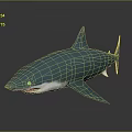Blue Green Shark 3D Model With White Underbelly And Fins On Gray Surface
