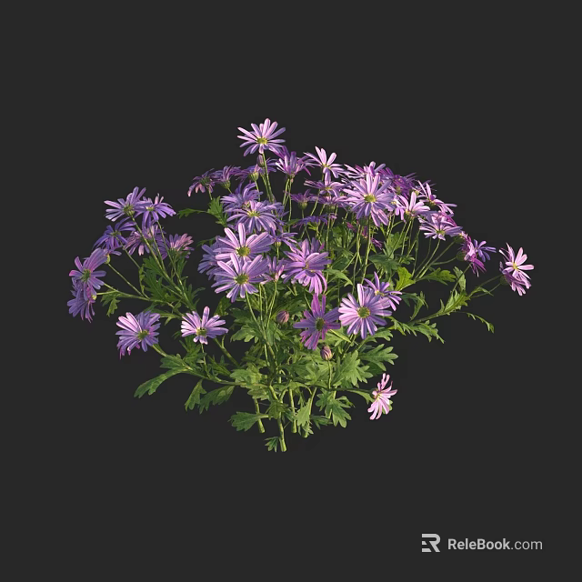 Small Purple Flowers Cluster With Blooming Petals Green Leaves And Dark Background 3d model 