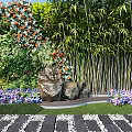 Living Plant Wall Featuring Diverse Green Foliage Orange Flowers And Vibrant Leaves