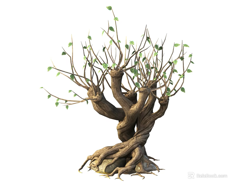 Ancient Arbor With Twisted Trunks Exposed Roots Sparse Branches And Tender Green Leaves 3d model 