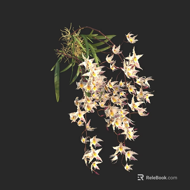 Beautiful Hanging Orchid Flowers With White Pink Petals Green Leaves And Vines 3d model 