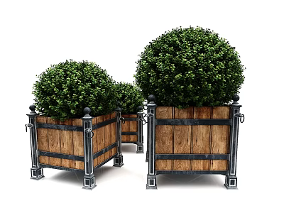 Garden Ornaments Featuring Wooden Planters Metal Frames And Round Shrub Balls 3d model