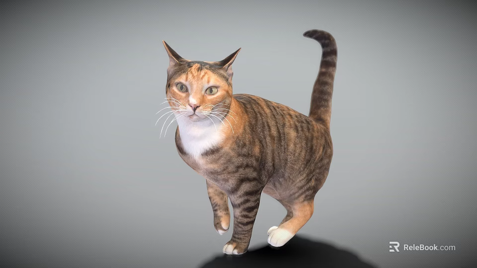 Brown And White Tabby Cat In Standing Pose With Gray Background 3d model 