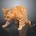 Orange Tabby Cat With Green Eyes And Pink Tongue On Dark Shiny Surface