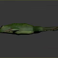 Detailed Green Frog 3D Character Model With Lifelike Texture And Webbed Limbs