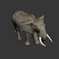 Gray Elephant With Long White Tusks Standing In 3D Model Pose 3d model