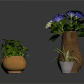 Various Green Plants in Terracotta Pots with Blue Purple and White Flowers