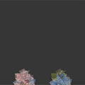 Various Colored Trees in Blue Pink Orange Green Purple on Dark Background