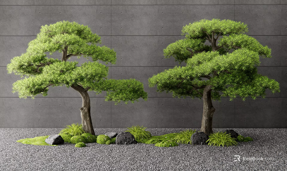 Two Green Leafy Trees Against Gray Wall With Gravel Ground And Small Plants 3d model 