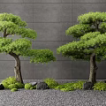 Two Green Leafy Trees Against Gray Wall With Gravel Ground And Small Plants