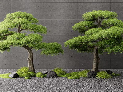 Two Green Leafy Trees Against Gray Wall With Gravel Ground And Small Plants 3d model