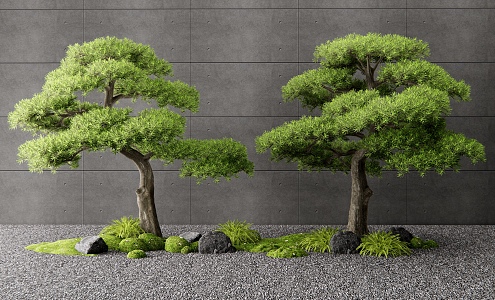 New Chinese Style Pok Han Pine Black Pine Plant Landscape Garden Sketch Flowers and Grass Moss Stone 3d model