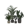 Modern Decorative Ornament Combination With Various Green Plants And Stylish Flower Pots