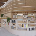 Book Art Inspired Library Interior With Wooden Bookshelves And Spacious Lighting