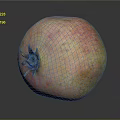 Fresh Ripe Pomegranate with Pink Yellow Glossy Skin and Natural Texture