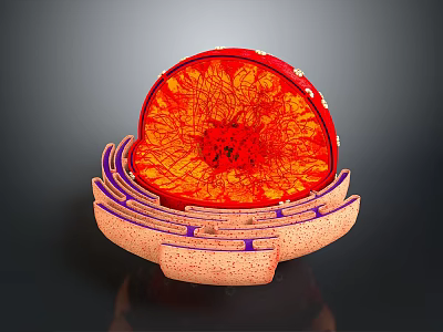 Detailed Medical Device Internal Structure With Core Layered Components And Radial Lines 3d model