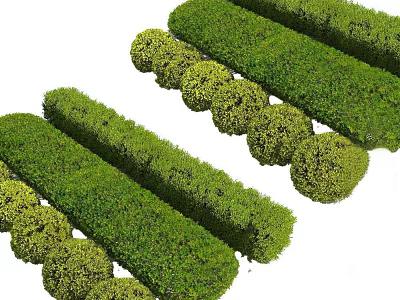 Well Trimmed Green Bushes And Hedges Arranged In Garden Landscape Design 3d model