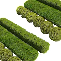 Well Trimmed Green Bushes And Hedges Arranged In Garden Landscape Design