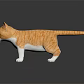 Orange And White Tabby Kitten Figurine With Realistic Details On Reflective Surface 3d model