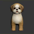 Brown And White Puppy Figurine With Shaggy Fur In Standing Pose On Dark Glossy Surface