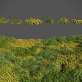 Lush Green Grass And Vibrant Yellow Flowers In Natural Meadow Landscape