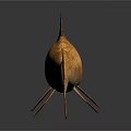 Realistic Golden Carp Fish With Shiny Scales And Reflection On Dark Background