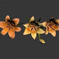 Orange Lilies in a Vase with Green Stems Leaves and Dark Background Reflection