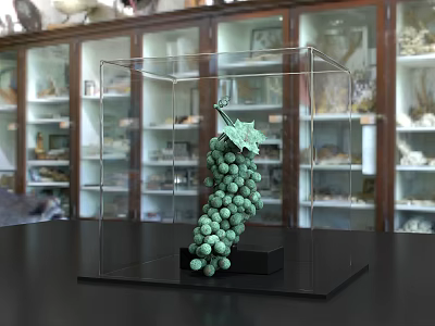 Detailed Green Grape Sculpture in Transparent Display Case on Black Tabletop 3d model