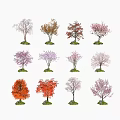 Colorful Arbor Trees Displaying Various Foliage Colors For Garden Design