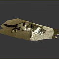 Calico Cat Lying Relaxed On Soft Beige Plush Carpet In Warm Sunlight