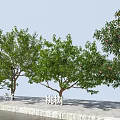 Decorative Hawthorn Trees With Lush Green Foliage And Red Fruits Along Roadside