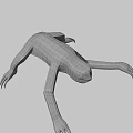 Realistic 3D Sloth Character Model For Game And Movie Animations