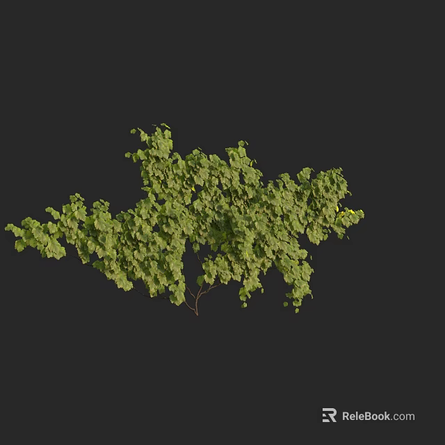 Lush Green Vine Plant With Dense Leaf Coverage And Natural Growth 3d model 