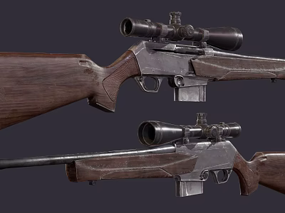Classic Rifles with Wooden Stock and Scope Vintage Design Elements 3d model
