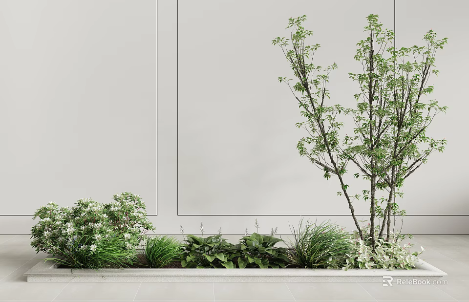 Bonsai Potted Plants With Tall Tree Like Shrubs Herbs Along Light Colored Wall And Floor 3d model 